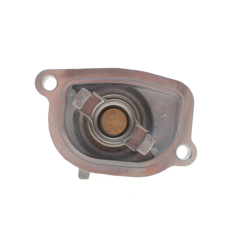 Термостат MOTORAD 585-87K 87°C з прокладкою для Fiat Doblo, Brava, Punto 1.2