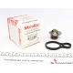 Термостат MOTORAD 718-91K для Mini Cooper/One 1.4/1.6 2001-2007 (91°C)