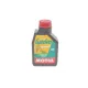 Моторна олива MOTUL Garden 4T SAE 30 1L (102787) 309701