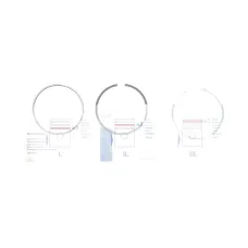 Кільця поршневі BMW 5 (F07/F10/F11)/7 (F01-F04)/X5 (E70) 4.4 08- (89.00mm/STD) (1.5-1.5-2) N63