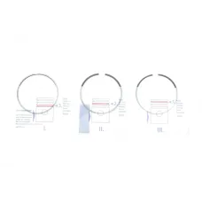 Купити Кільця поршневі BMW 3 (E90)/5(E60/F10) 2.0d (N47 D20) 04-10 (84.00mm/STD) (1.75-1.75-2) | KovelAutoHub