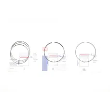 Купити Кільця поршневі NPR 120 038 0015 00 для Renault Megane/Scenic 1.4 TCe 2009-2016 (78.00mm/STD) | KovelAutoHub