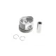Поршень NPR 7137490000 для Citroen Berlingo/Peugeot Partner 2.0HDI 85.00mm STD