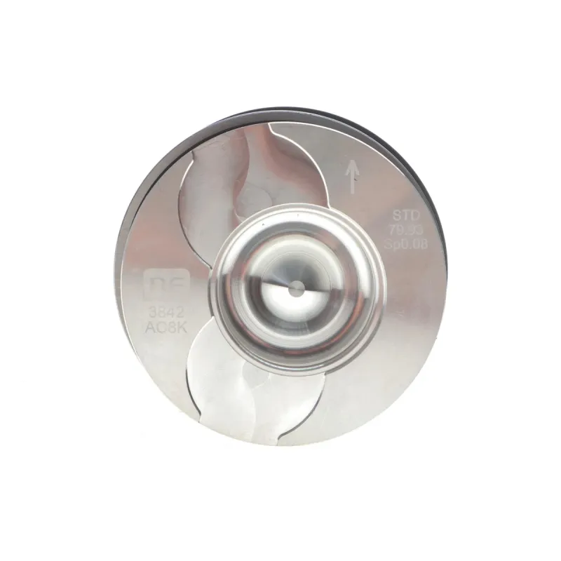 Поршень Renault Megane II/Laguna II 1.9dci 01-07 (80.00mm/STD) = 7138420000