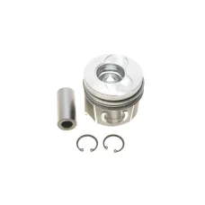 Поршень NPR 130 038 0024 21 для Renault Kangoo/Megane/Trafic 1.9dci 2001-, 80.50мм