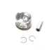 Поршень NPR 130 038 0026 21 для Renault Clio 1.5DCI 76.50mm/+0.5 (Палець 25mm)
