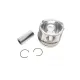 Поршень Opel Movano 2.5DTi (89.00mm/STD) (71-3851-00) = 7138510000