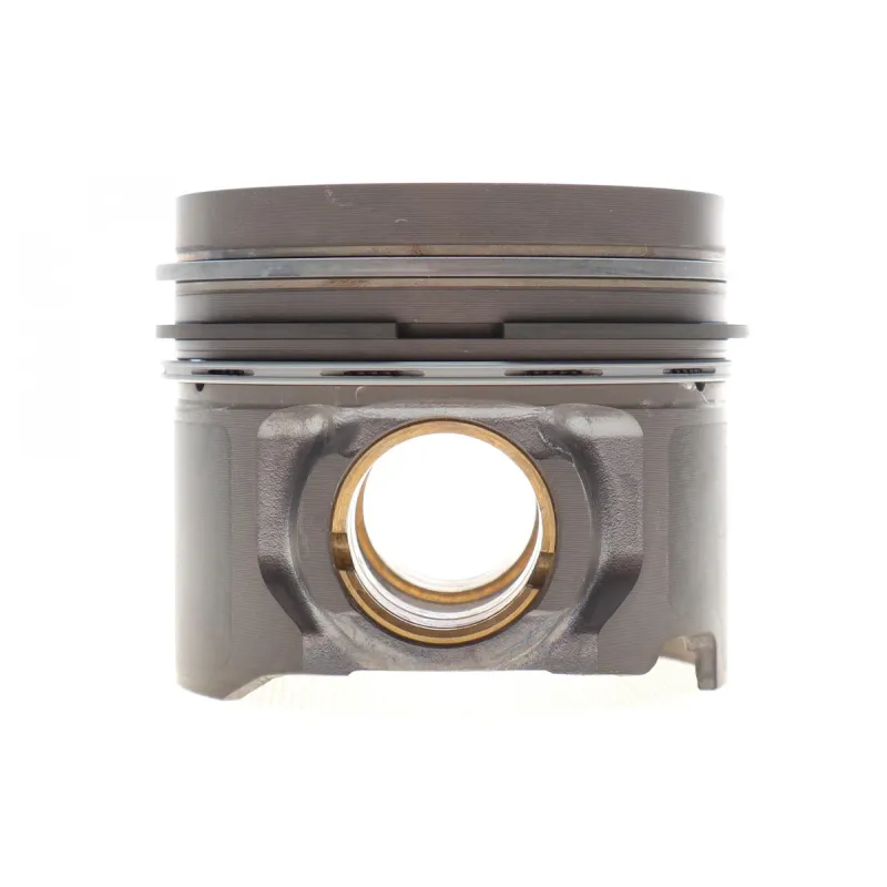 Поршень VW T5 2.5TDI (81.01mm/STD) (1-2 циліндр) = 7150170000