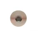 Клапан (впуск) Opel Astra F/Vectra C 1.6 16V 94-08 (31.05x5.98x103.15) = 5635030000