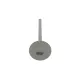 Клапан (впуск) Chevrolet Aveo/Lacetti 1.4 16V 06- (28.55х5.98х101.65) = 5614020000