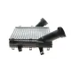 Радіатор інтеркулера NRF 30293 для Audi Q7, Porsche Cayenne 4.2TDI/S4.5 2002-2018, 290x288x50 мм