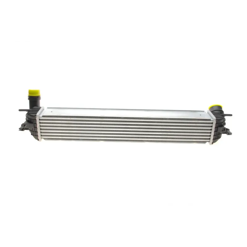 Радіатор інтеркулера Renault Laguna III 1.5/2.0 dCi 07-15