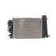Радіатор інтеркулера Renault Megane IV 1.6 dCi 15-