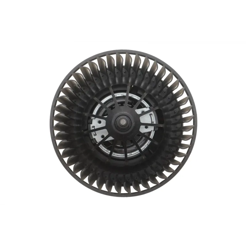 Моторчик пічки Ford Transit Connect 1.5/1.6 TDCi 13-