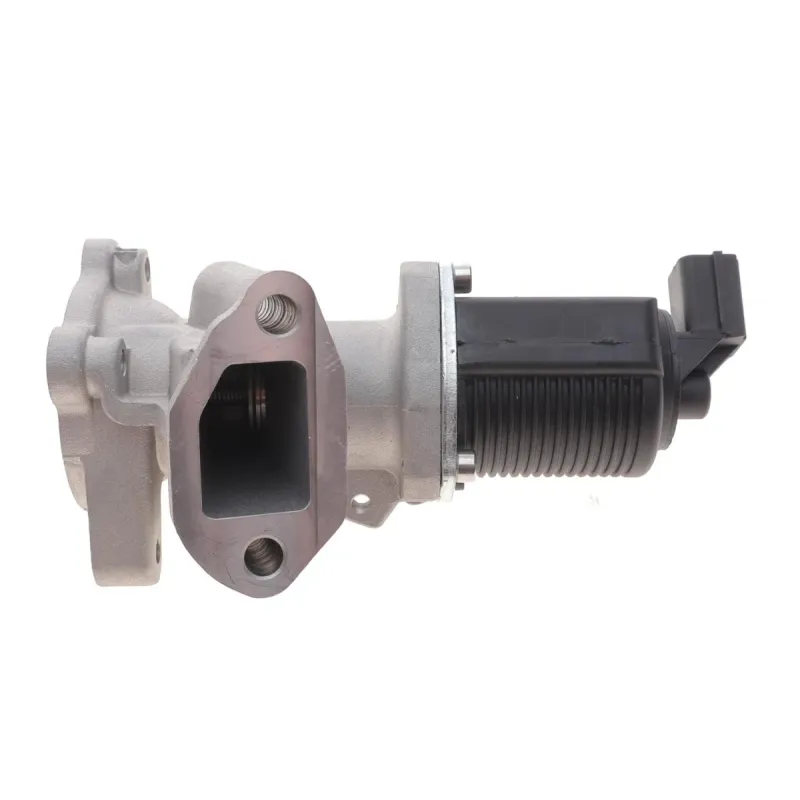 Клапан EGR NRF 48325 для Fiat Punto, Opel Corsa 1.3 CDTI, 12В