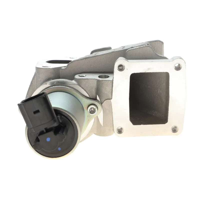 Клапан EGR Renault Megane II/Laguna II/Scenic II 1.9dCi 03-
