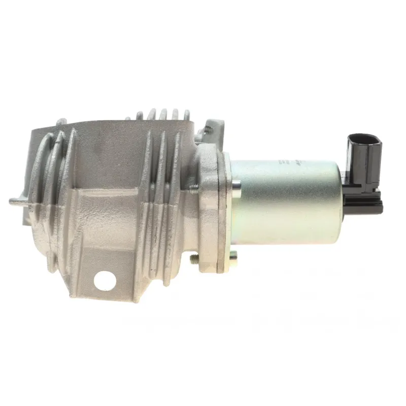 Клапан EGR Renault Megane II/Laguna II/Scenic II 1.9dCi 03-