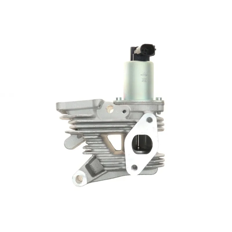 Клапан EGR Renault Megane II/Laguna II/Scenic II 1.9dCi 03-