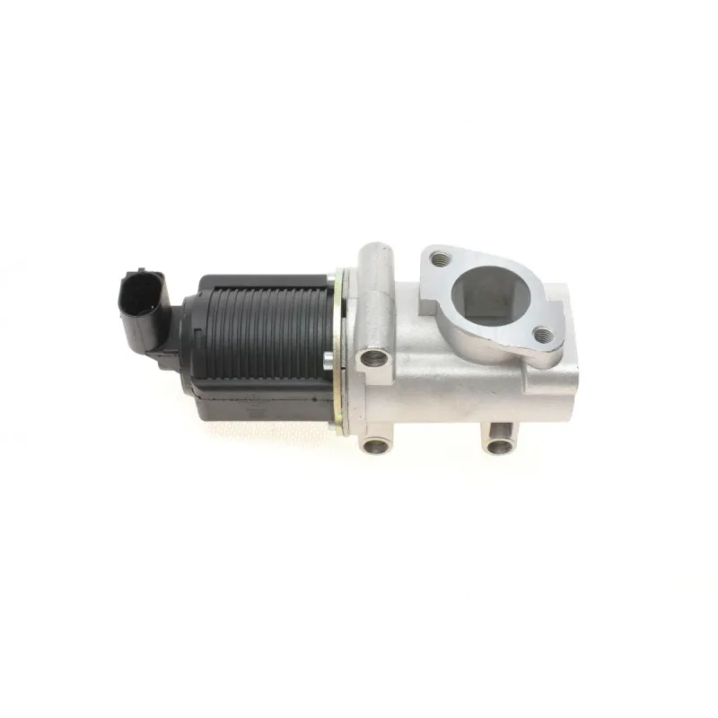 Клапан EGR Fiat Croma/Punto/Opel Astra H/Vectra C 1.9CDTI 04-15