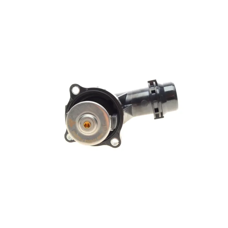 Термостат BMW 3 (E46)/5 (E60) 98-09 (105°C)(N43/N46)