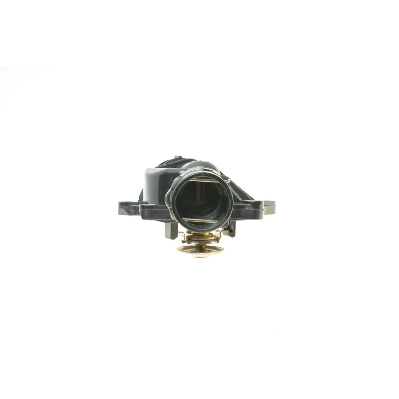 Термостат BMW 7 (E38)/5 (E39) 3.0d 98-03 (M57) (88°C)