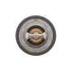 Термостат Renault Clio III 2.0 16V Sport 06-14 (75°C)