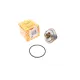Термостат NRF 725098 для Volkswagen LT, Crafter 2.5SDI/TDI 1996-2013 (71°C)