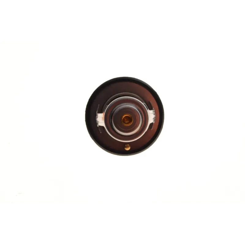 Термостат Nissan Pick Up 2.5D/TD 98-05/Mitsubishi L300 2.5TD 87-04 (76°C)