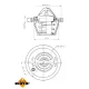 Термостат Ford Fusion/Fiesta/Focus 1.2-1.6 98- (82˚C)