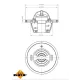 Термостат Kia Ceed/Cerato/Hyundai i10/i20/i30 1.1-1.6CRDi 05- (85°)