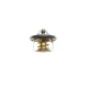 Термостат Hyundai Accent/Elantra/Kia Rio/Ceed/Sportage 1.0-2.0 06- (82°C)