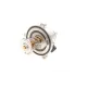 Термостат BMW X5 (E53/E70/F15/F85)/X6 (E71/E72) 03-19 N62/N63