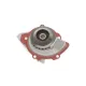 Помпа води PIERBURG 7.01890.08.0 для Citroen C4/C5, Ford Focus/Mondeo 2.0HDi/TDCi