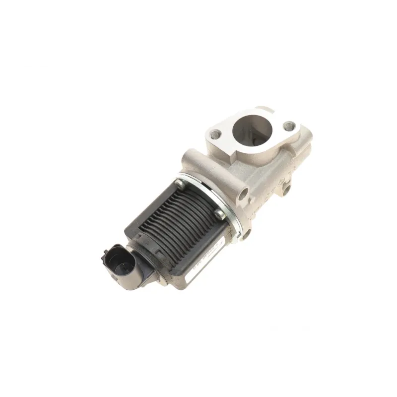 Клапан EGR Fiat Croma/Punto/Opel Astra H/Vectra C 1.9CDTI 04-15