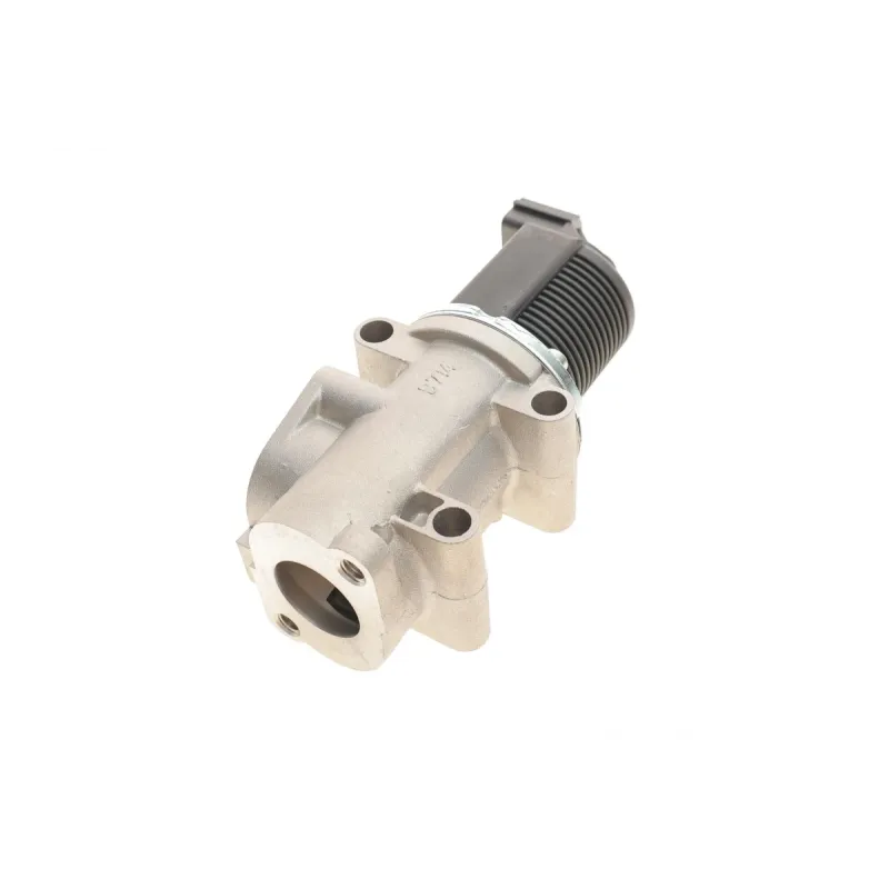 Клапан EGR Fiat Croma/Punto/Opel Astra H/Vectra C 1.9CDTI 04-15