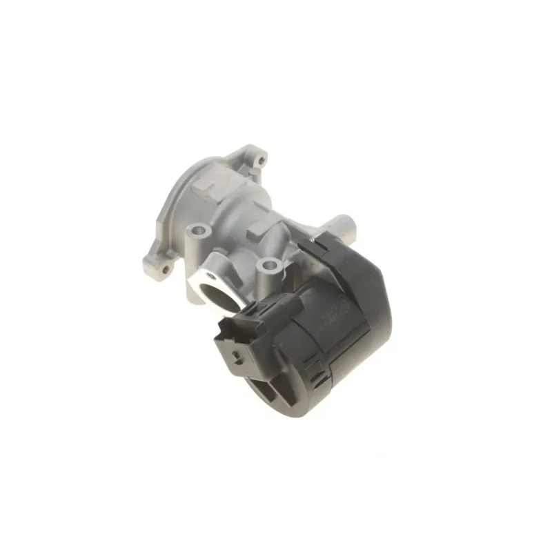 Клапан EGR PIERBURG 7.24809.68.0 для Ford Focus II/Mondeo IV 2.0 TDCi, Peugeot Expert 2.0 HDi