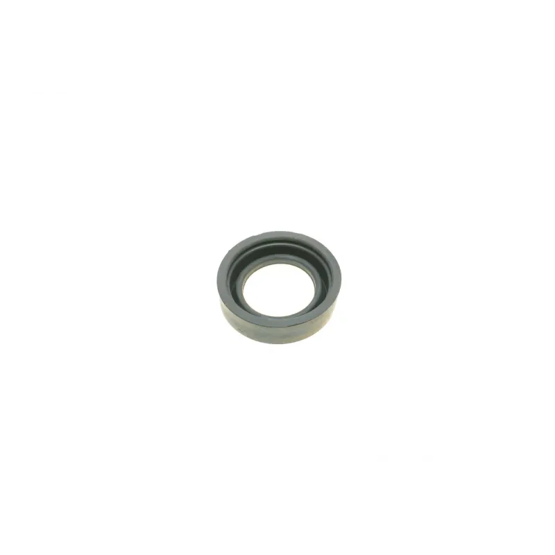 Ремкомплект супорта заднього QUICK BRAKE 114-0111 для Renault Clio II, Megane I (d=30mm)