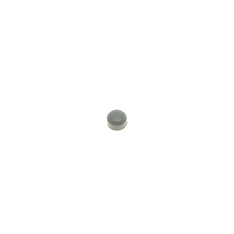 Ремкомплект супорта (переднього) MB M-class (W163) 98-05 (d=60mm) (Kelsey-Hayes)