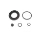 Ремкомплект заднього супорта QUICK BRAKE 114-0354 для Nissan Maxima A33 2000-2003, Honda Legend KA 1986-1990, діаметр 38 мм