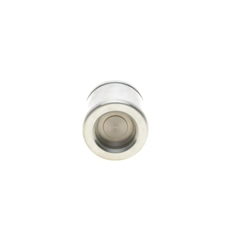 Поршень супорта переднього QUICK BRAKE 185191K для Seat Ibiza II (6K1) 1993-1999, VW Golf II (19E, 1G1) 1983-1992 (48мм)