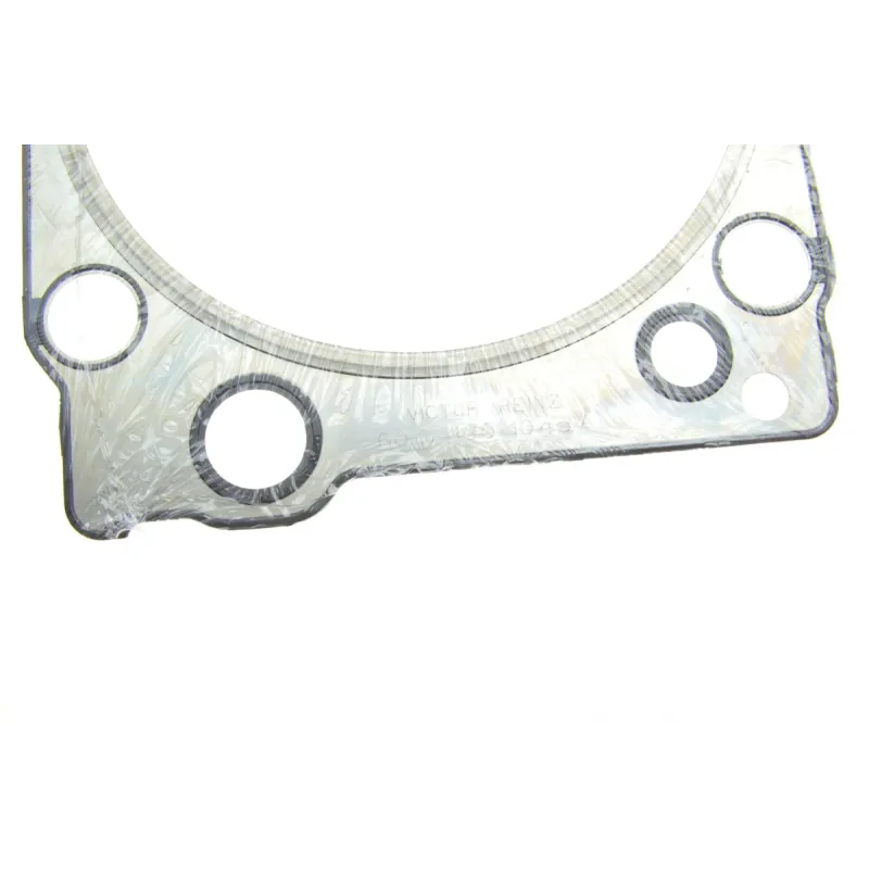 Комплект прокладок повний REINZ 01-34190-06 для Mercedes-Benz Actros 1831/1835/1840/1843
