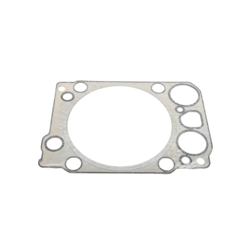 Комплект прокладок повний REINZ 01-34190-06 для Mercedes-Benz Actros 1831/1835/1840/1843