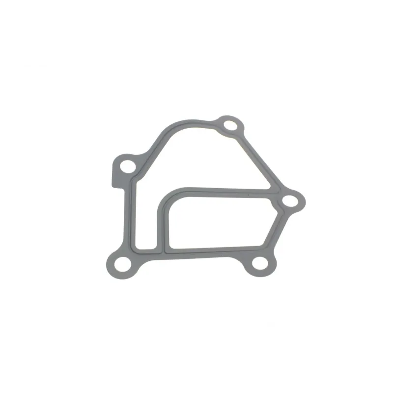 Комплект прокладок REINZ 01-53694-01 для Nissan Pathfinder R51 2.5 dCi 2005-2013