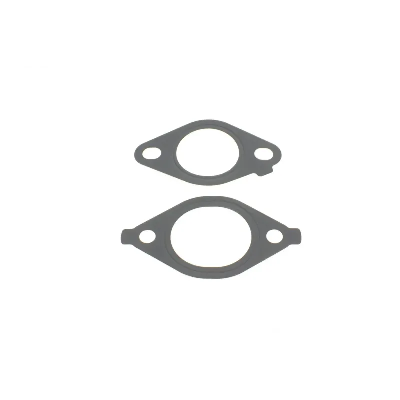 Комплект прокладок REINZ 01-53694-01 для Nissan Pathfinder R51 2.5 dCi 2005-2013