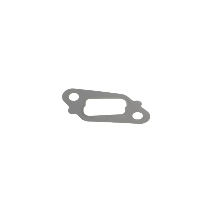 Комплект прокладок REINZ 01-53694-01 для Nissan Pathfinder R51 2.5 dCi 2005-2013