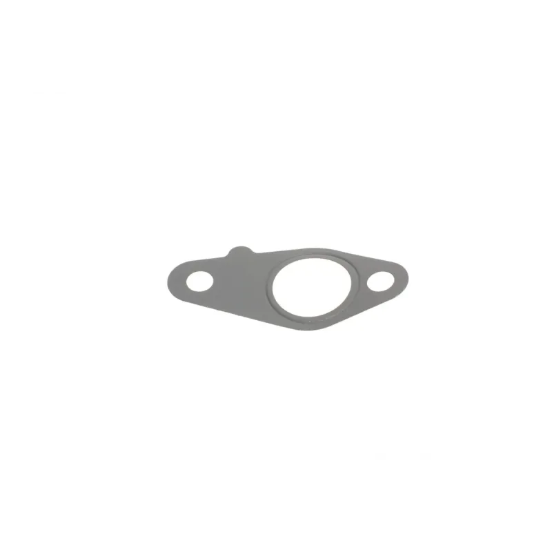 Комплект прокладок REINZ 01-53694-01 для Nissan Pathfinder R51 2.5 dCi 2005-2013