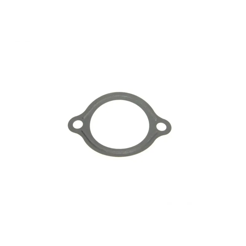 Комплект верхніх прокладок REINZ 02-35380-01 для Land Rover Discovery II, Range Rover II 4.0 V8 1998-2004