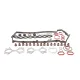 Комплект верхніх прокладок REINZ 02-36878-01 для BMW 3 (E90)/5 (E60) M47 D20