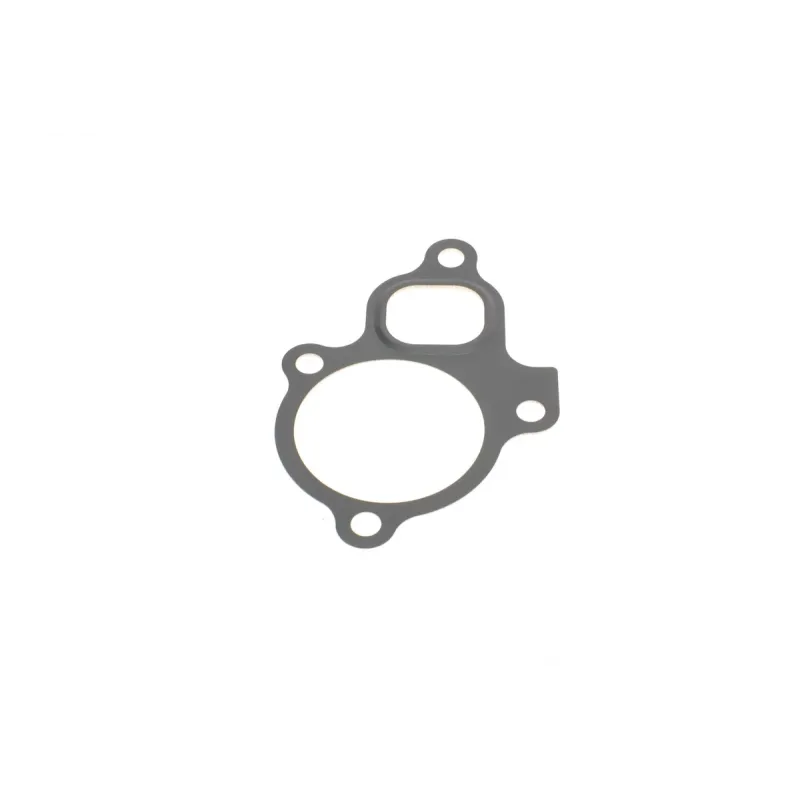 Комплект верхніх прокладок REINZ 02-53295-01 для Nissan Primera P12, X-Trail T30 2.0 2001-2013