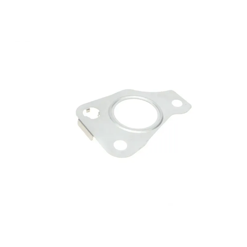 Комплект прокладок турбіни REINZ 04-10324-02 для Fiat Doblo, Opel Combo 1.3D/CDTI 2010-